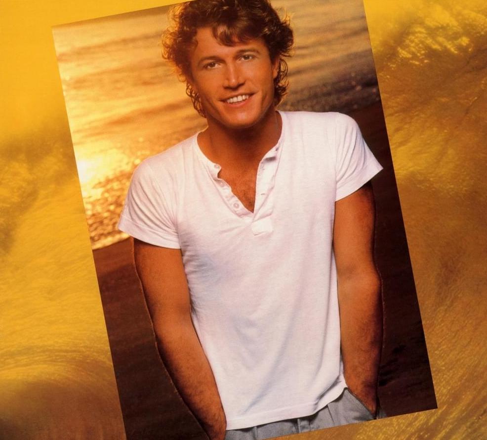 andy gibb gay
